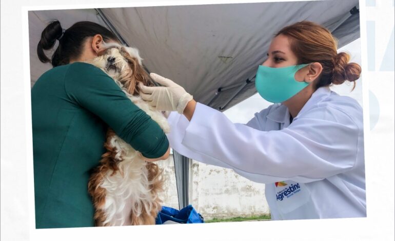  PETs – Atendimento veterinário gratuito